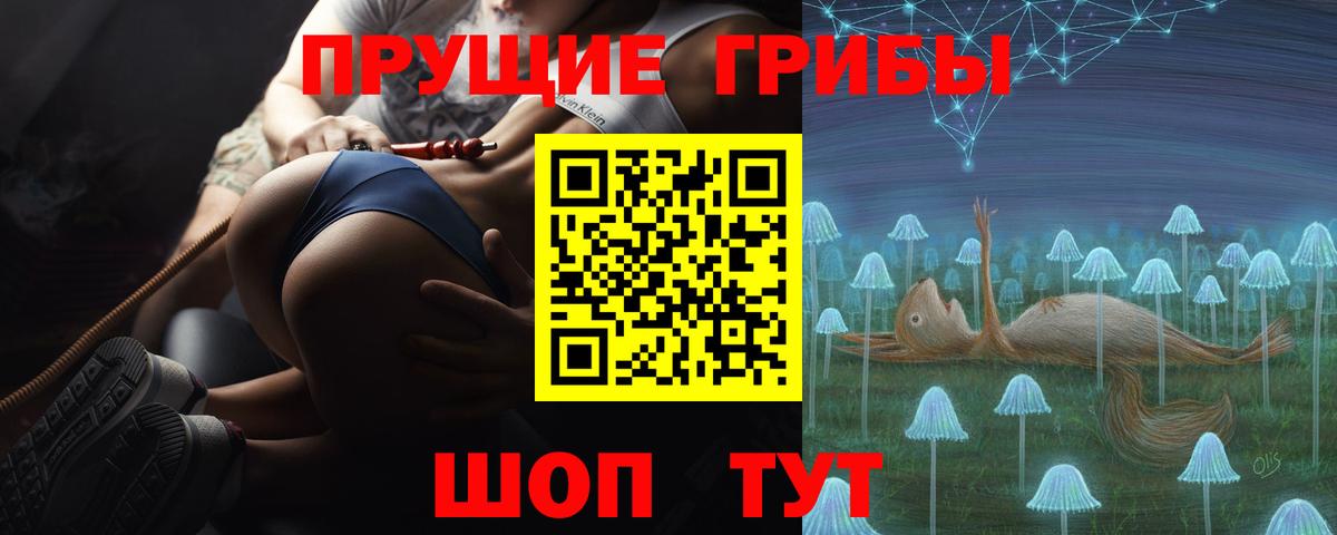 Псилоцибиновые грибы Psilocybe Усть-Илимск